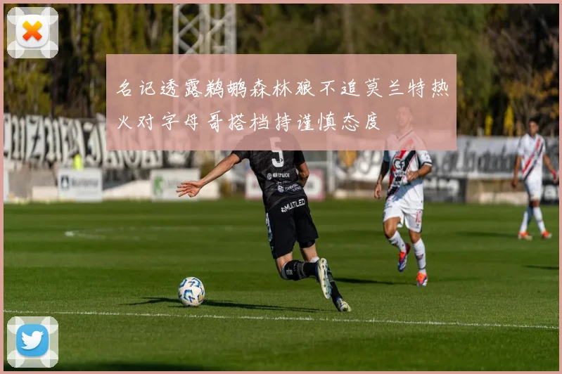 名记透露鹈鹕森林狼不追莫兰特热火对字母哥搭档持谨慎态度
