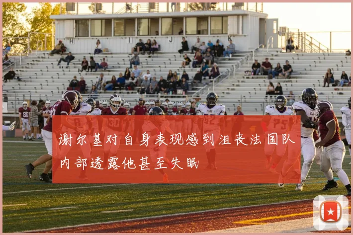 谢尔基对自身表现感到沮丧法国队内部透露他甚至失眠